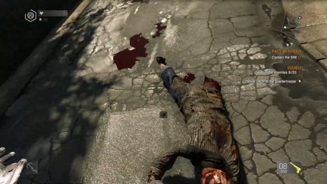 Dying Light : Harran Eagle Adjustments смотреть онлайн