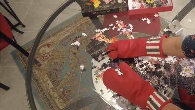 Oven Mitt Challenge | 1,000 Piece Puzzle Destruction | 4K 60 FPS | By Karishma смотреть онлайн