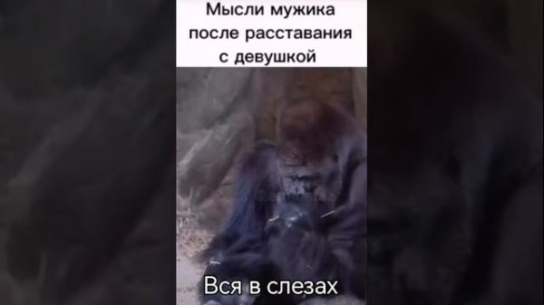 Мысли мужика после расставания с девушкой