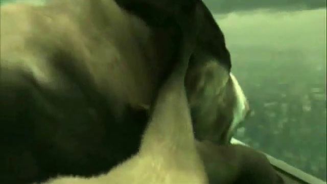 Linger in Shadows: Full completion! смотреть онлайн