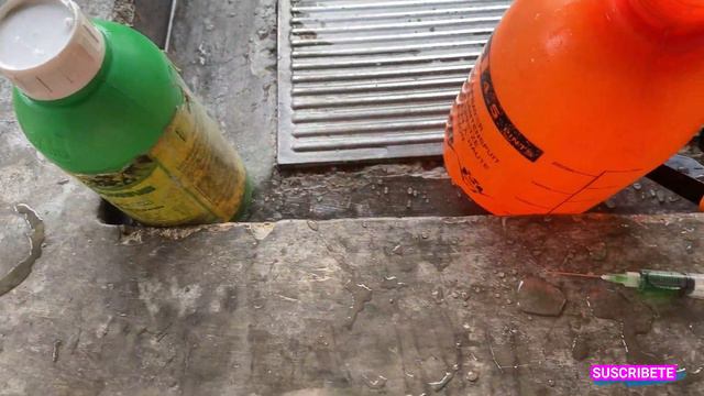 COMO EVITAR CAIDA DE BOTONES FLORALES / POR QUE SE CAEN LOS BOTONES FLORALES смотреть онлайн