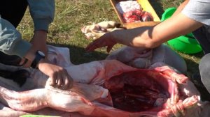 Кара-Хол часть 2 как разделывание барана по тувински