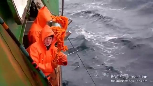 Приморские рыбаки выловили в Охотском море биологический объект из космоса? смотреть онлайн