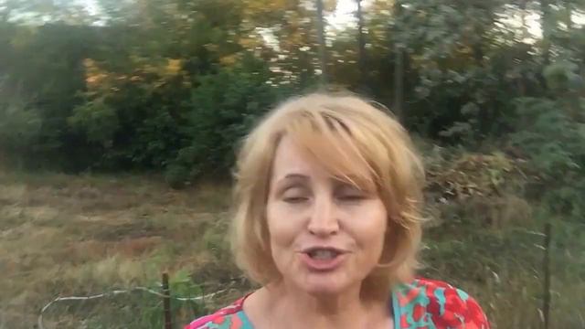 02 Где ты, Ева? Что в твоем сердце: Эдемский сад или запущенная, сухая земля? смотреть онлайн