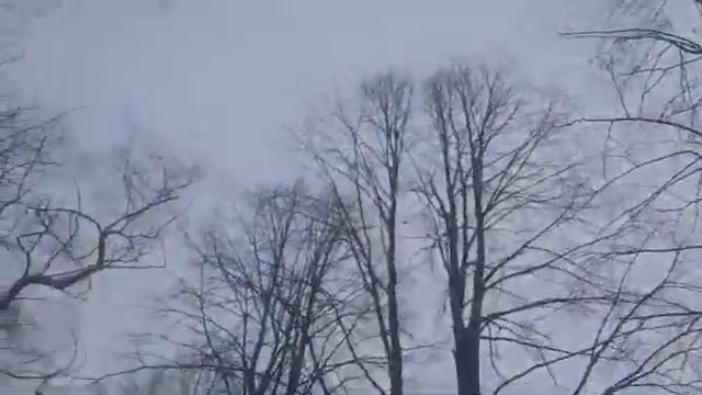 Деспасіто на фортепіано смотреть онлайн