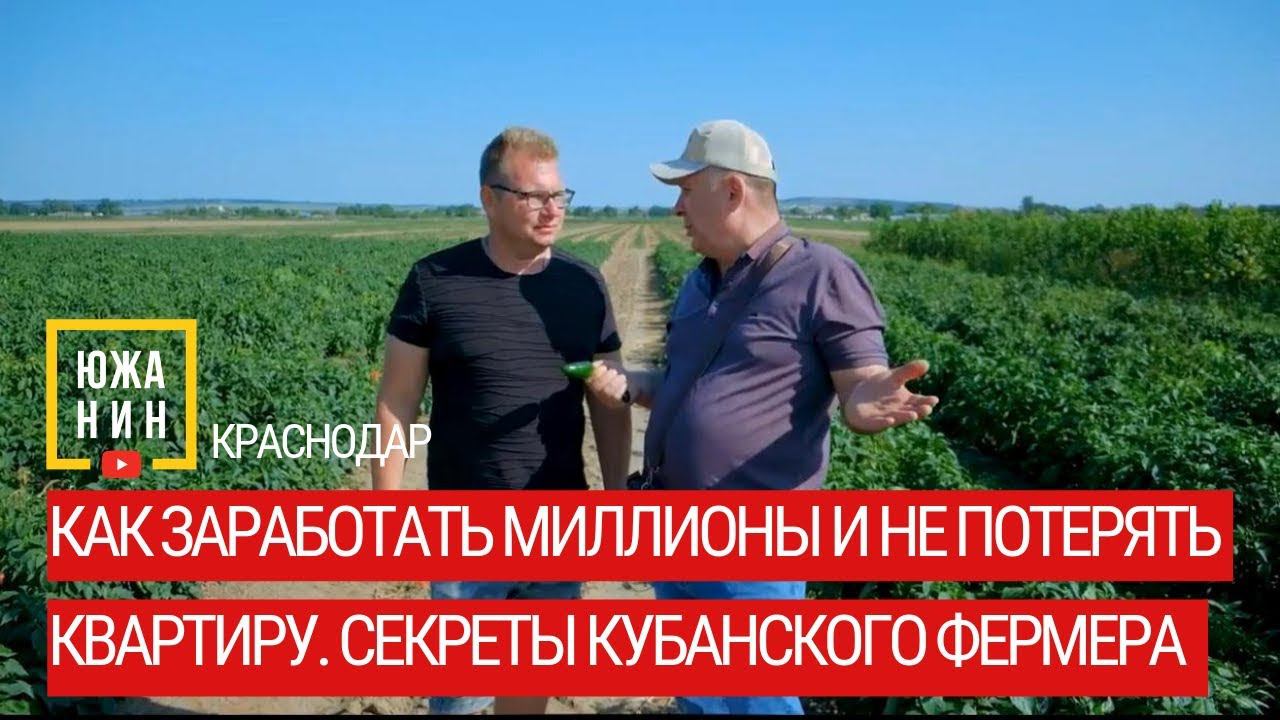 Как заработать миллионы и не потерять квартиру. Секреты кубанского фермера. смотреть онлайн