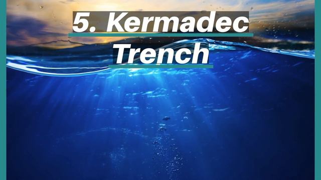 Deepest Ocean Trenches #deepsea #ocean #trench смотреть онлайн