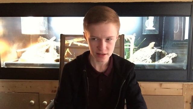 Is ANY Morph Ethical? TIME TO END Spider Ball Python & Enigma Leopard Gecko Breeding смотреть онлайн