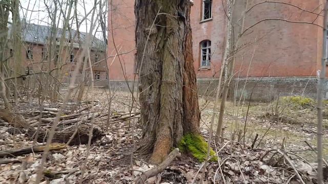 ГСВГ. Ютербог2. Здание чайной в/ч 60883,окрестности 3.03.2023 смотреть онлайн