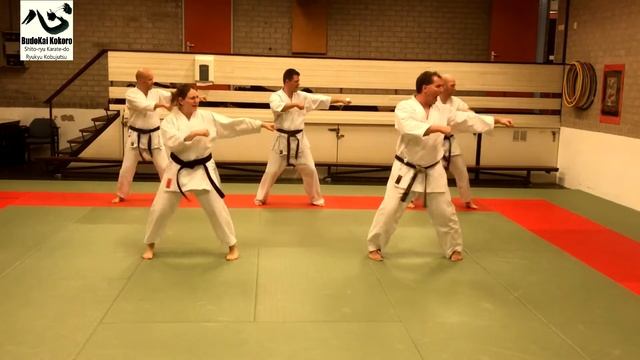 Naifanchin (Naihanchi / Tekki) Shodan Shito-ryu смотреть онлайн
