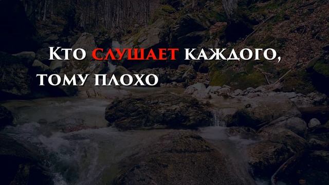 МУДРОСТЬ ИЗ БОЛГАРИИ: 15 ПОСЛОВИЦ И ПОГОВОРОК смотреть онлайн