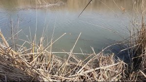 Весенняя Рыбалка в Дагестане