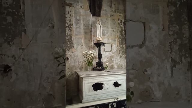 Римско-католическая церковь св. Екатерины #санктпетербург #церковь #католицизм #вера #любовь #мир смотреть онлайн