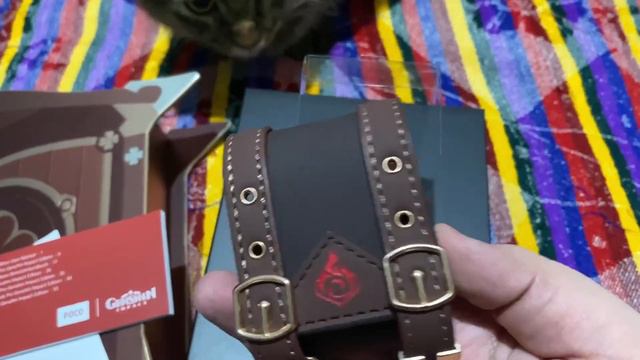 UNBOXING AUDIFONOS EDICION ESPECIAL GENSHIN IMPACT смотреть онлайн