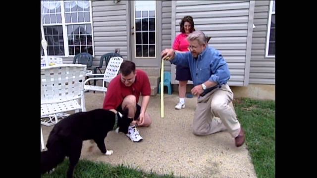 Ron Hazelton's HouseCalls - Season 16 - Install Invisible Dog Fence - How to Build a Dog House смотреть онлайн