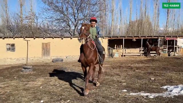 Пай-Пай-Пай! АТ алам дегендерге РАКЕТА менен КАШКА сунушталат ~ ЧАМДАП, чапкыла смотреть онлайн