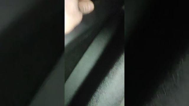 Накладки на пороги Рено Аркана. смотреть онлайн