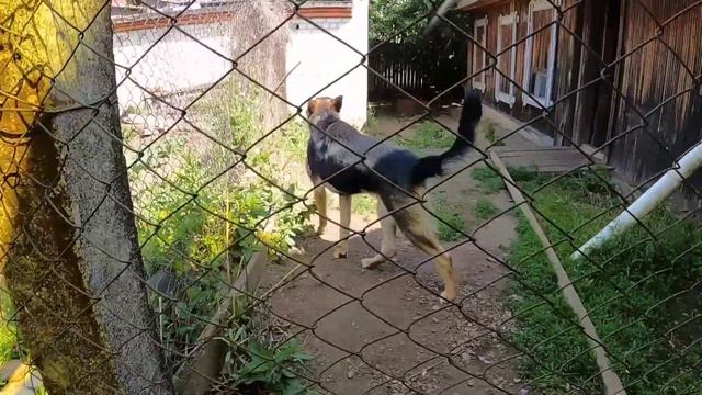 Настоящий диван качель своими руками,качались всей семьёй! 2 часть. смотреть онлайн