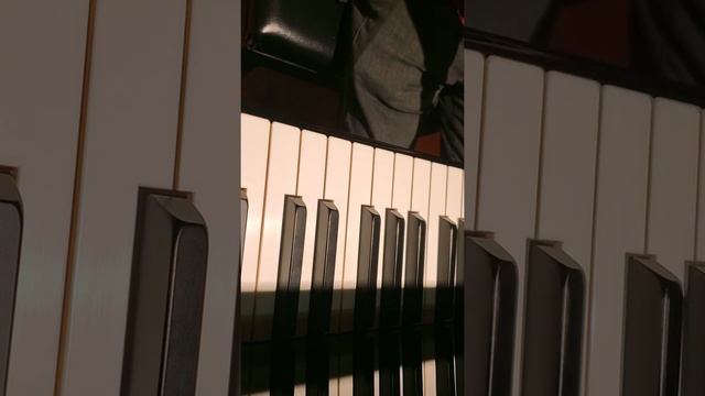 Schimmel grand piano C169TPE -about £30k or $38k USD. All songs written by me смотреть онлайн