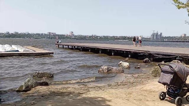 Парк Дельфин Воронеж 20.06.2022 смотреть онлайн