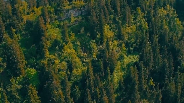 Patrick Kavanagh - Subsidence смотреть онлайн