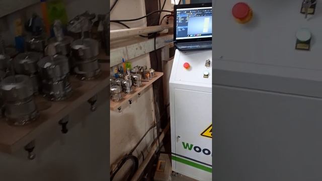 WOOD TEC HP2030 в деле.Фрезеровка стеновых панелей на шпоне смотреть онлайн