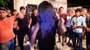 Туйи точики