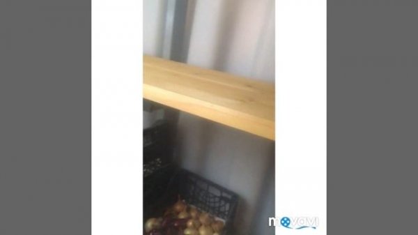 Отзыв клиента о погребе TINGARD (г. Москва)