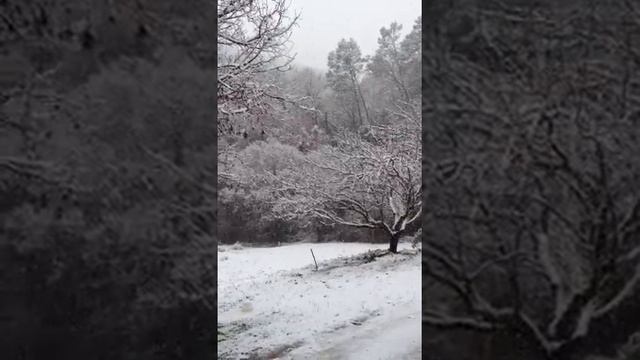 Il neige encore ....! смотреть онлайн