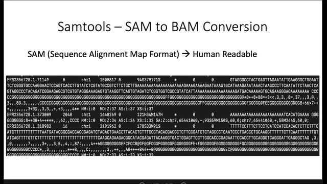 Introduction to Burrows-Wheeler Alignment and Samtools for Cancer Mutation Calling Bioinformatics 1 смотреть онлайн