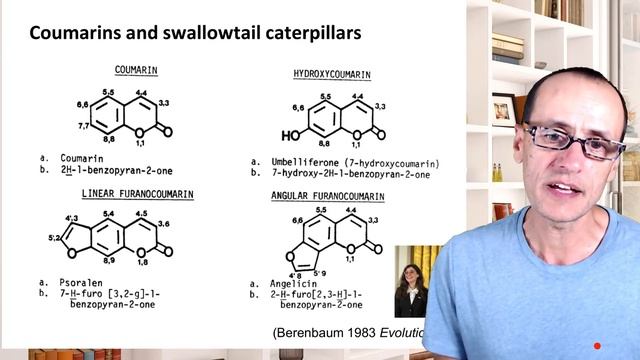 Week 5 - Video 4 - Plant Insect Coevolution смотреть онлайн