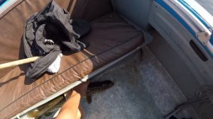 ЛОВЛЯ ГЛУБИННОЙ ЩУКИ НА СПИННИНГ.DAIWA.2 ЩУКИ ЗА 10 МИНУТ