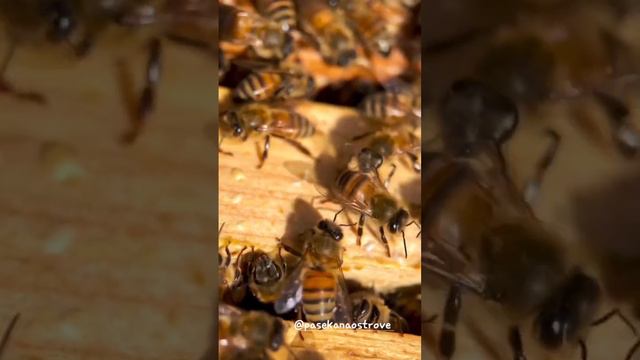 Успех в деталях