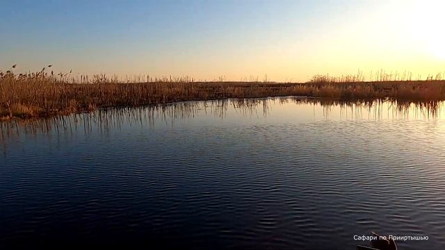 Утиная охота. Весной на горелое болото за селезнями. смотреть онлайн