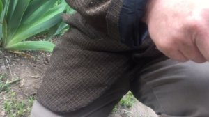 Нет искры настройка зажигания на триммере