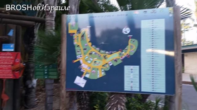 247.КИРЬЯТ-МОЦКИН-ТАКОЙ ТУТ ТЕАТР И ПАРК! ИЗРАИЛЬ смотреть онлайн