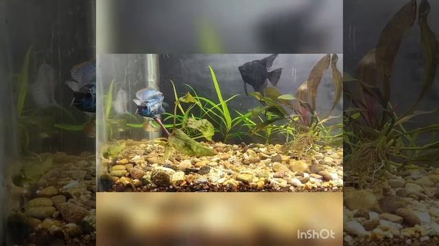 Нанакары смотреть онлайн