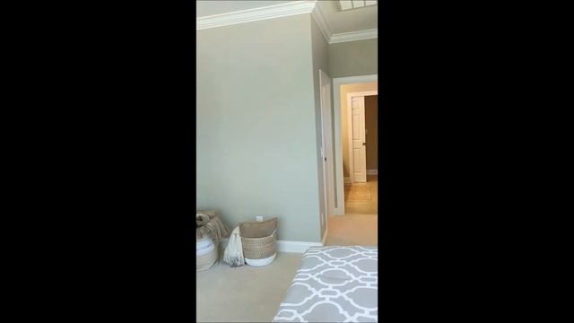 AmeliaBay смотреть онлайн