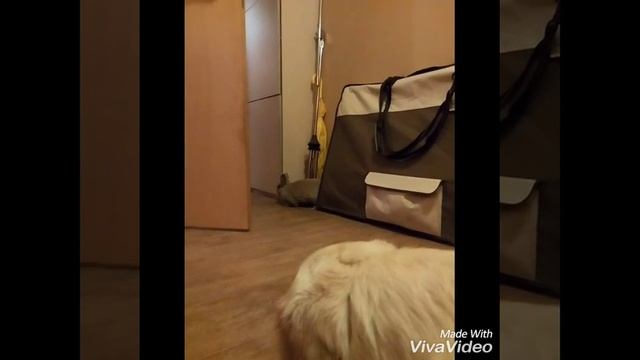 Эдмонд и дыра в стене смотреть онлайн