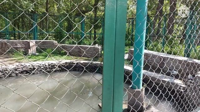 САМЫЙ УВЛЕКАТЕЛЬНЫЙ ПОХОД ДЛЯ СЕМЬИ, С ДЕТЬМИ. ? "ЗООПАРК " Ташкент. смотреть онлайн