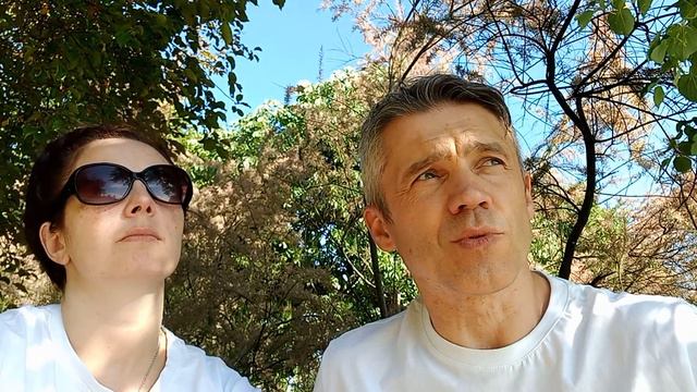 Ведущее воплощение, святая троица и многое другое. смотреть онлайн