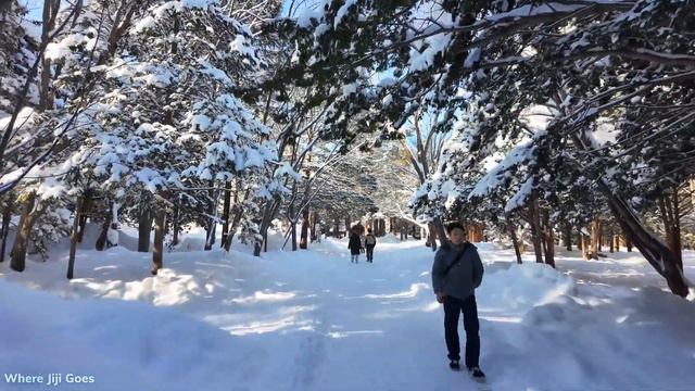 Winter Walk In Sapporo After Heavy Snowfall || Hokkaido, Japan 🇯🇵【4K Relaxing Ambience Sounds】
