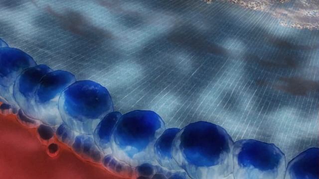 Admiral Fujitora Gravity Blade: Raging Tiger смотреть онлайн