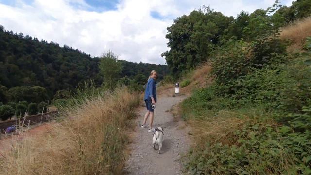 Бельгия. Путешествие с собакой! смотреть онлайн