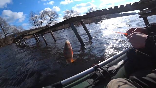 ВЫРЫВАЮТ УДОЧКУ ИЗ РУК!!! Бешеный клев окуня. Рыбалка весной с лодки. смотреть онлайн