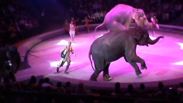 Ижевский Цирк 2017 смотреть онлайн