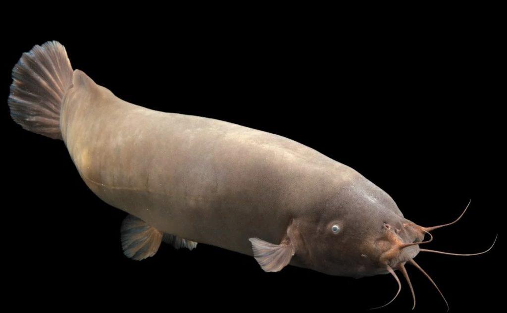 325.Трофеи 107.mp4 смотреть онлайн