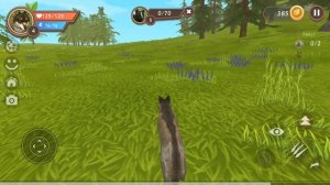 Симулятор волка!!! Играем в WildCraft. Создаём стаю,охотимся и ищем новых друзей!!! #1