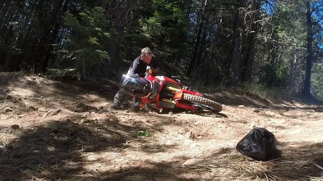 Honda Africa Twin 1000 Crashes