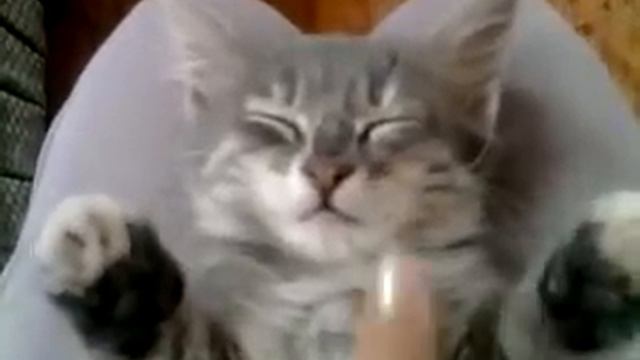 Маська смотреть онлайн